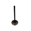 VALVE, INTAKE