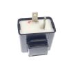 CAPACITOR