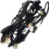 WIRING HARNESS (FOR EFI EUROPE)