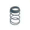 Oil Filter Screen Spring