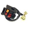 SWITCH ASSY (FOR EUROPE)