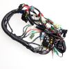 Main Wire Ass´y