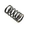 Spring ,Valve Outer
