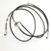 Hose, Rear Disk Brake