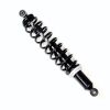 SHOCK ABSORBER, REAR (nedostupné)