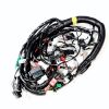 Main Wire Ass´y