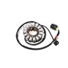 Stator (coil)