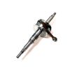 CRANK SHAFT ASSY