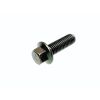 BOLT M8X25