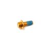 SCREW,CAP-HFH M8X1.25X20 CL10.9 W/2353