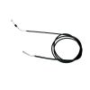 Park Brake Cable
