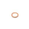 GASKET EX PIPE