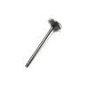 INTAKE VALVE