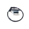 COIL ASSY IGNITION (W/CAP)