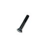 BOLT M10X1.25X55