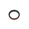 SEAL, DUAL LIP, 45x55x7 TC-PTL