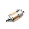 STARTING MOTOR ASSY