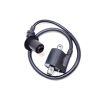 IGNITON COIL AND WIRE