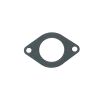 GASKET, INTAKE MANIFOLD-02 570LC
