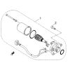 Start Motor
