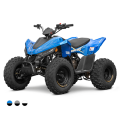 Linhai ATV 110 4x2 EFI CE, Gray