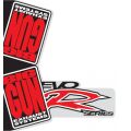 BIG GUN Wrap EVO R