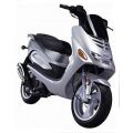 WIND SHIELD