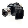 Injector, Fuel
