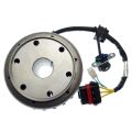 FLYWHEEL MAGNETO ASSY