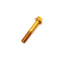 SCREW, CAP-HFH M10x1.25x60 CL10.9 Z&Y