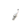 PLUG SPARK (NGK DR8EA)