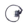 COIL ASSY IGNITION (W/CAP)