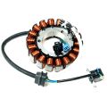 STATOR, IGNITION-EFI