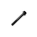 BOLT M8X55