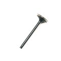 INTAKE VALVE