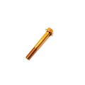 SCREW,CAP-HFH M10X1.25X75 CL 10.9 Z&Y