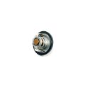 THERMOSTATIC VALVE