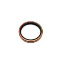 SEAL, DUAL LIP, 45x55x7 TC-PTL
