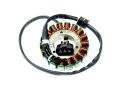 MAGNETO STATOR