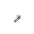 BOLT M6X12