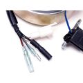 FLYWHEEL MAGNETO ASSY
