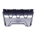 Front bumper decorative plate