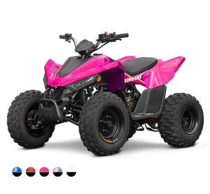Linhai ATV 110 4x2 EFI CE