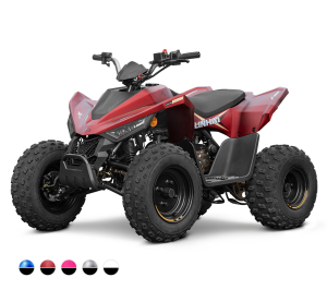 Linhai ATV 110 4x2 EFI CE