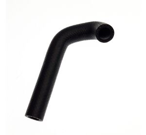 Hose, (Radiator-Cylinder Head)