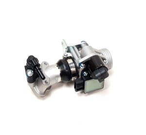 Fuel injection assy