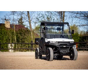 Linhai Electric UTV LH80DU, E5+, White