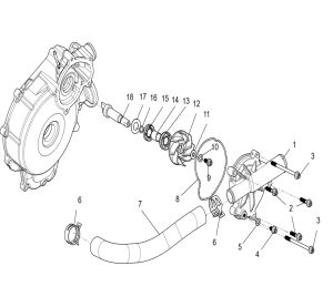 Water Pump assembly