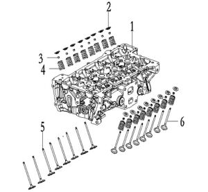 VALVE AND VALVE SPRING.