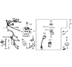 WIRING HARNESS、LOCK ASSY.